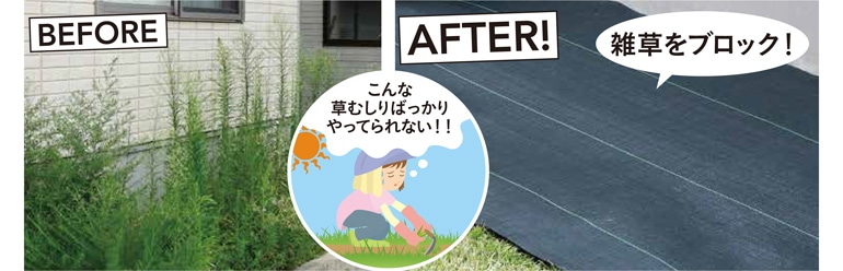 brfore_after