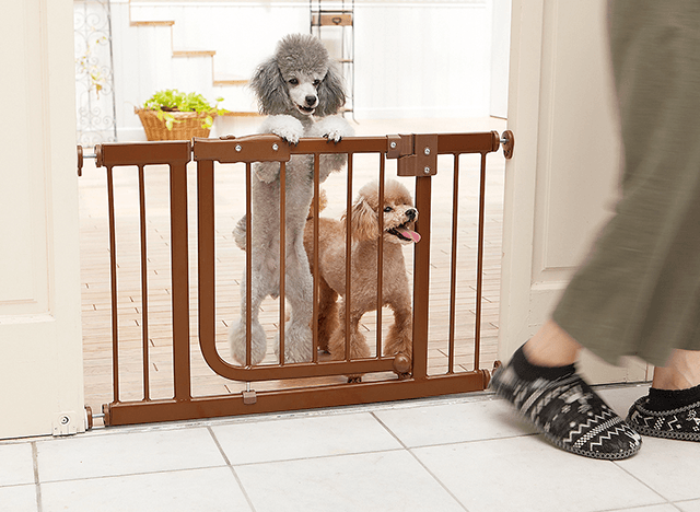 お掃除とニオイ対策 ペットのいるお部屋