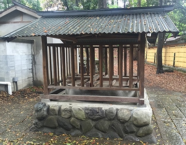 イメージ7