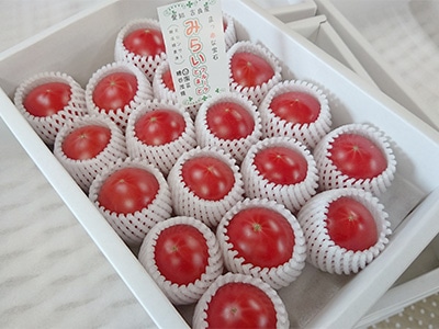 イメージ8