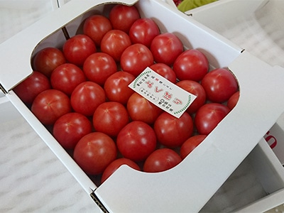 イメージ9