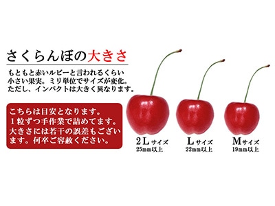 イメージ9