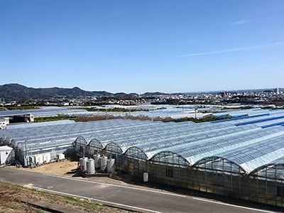イメージ2