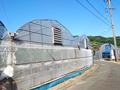 イメージ3