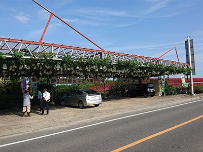 イメージ1