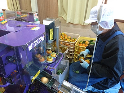 イメージ6