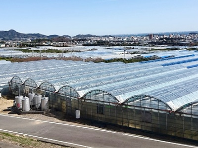 イメージ3
