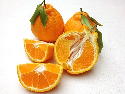 イメージ9