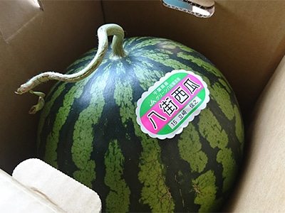 イメージ4
