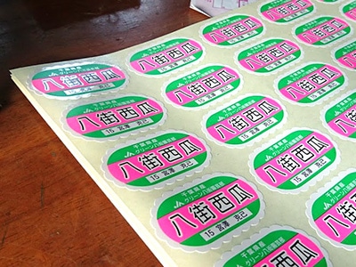 イメージ5