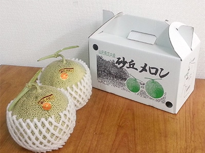 イメージ7