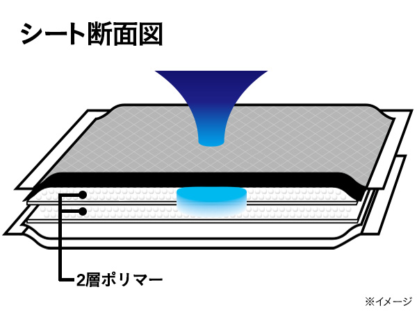 2層ポリマー構造でオシッコを素早く吸水