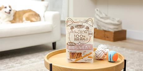 きょうのごほうび鶏ささみの長もちカミカミ１００ｇ