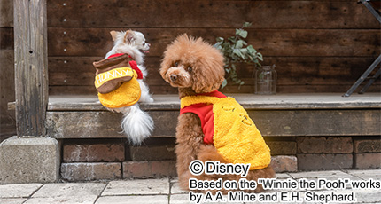 ECプーさんボーダーフェイスタンク ペット用品 犬服 ペット
