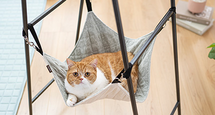 猫ハンモック グリーン Sサイズ(販売終了) | ペット用品（猫