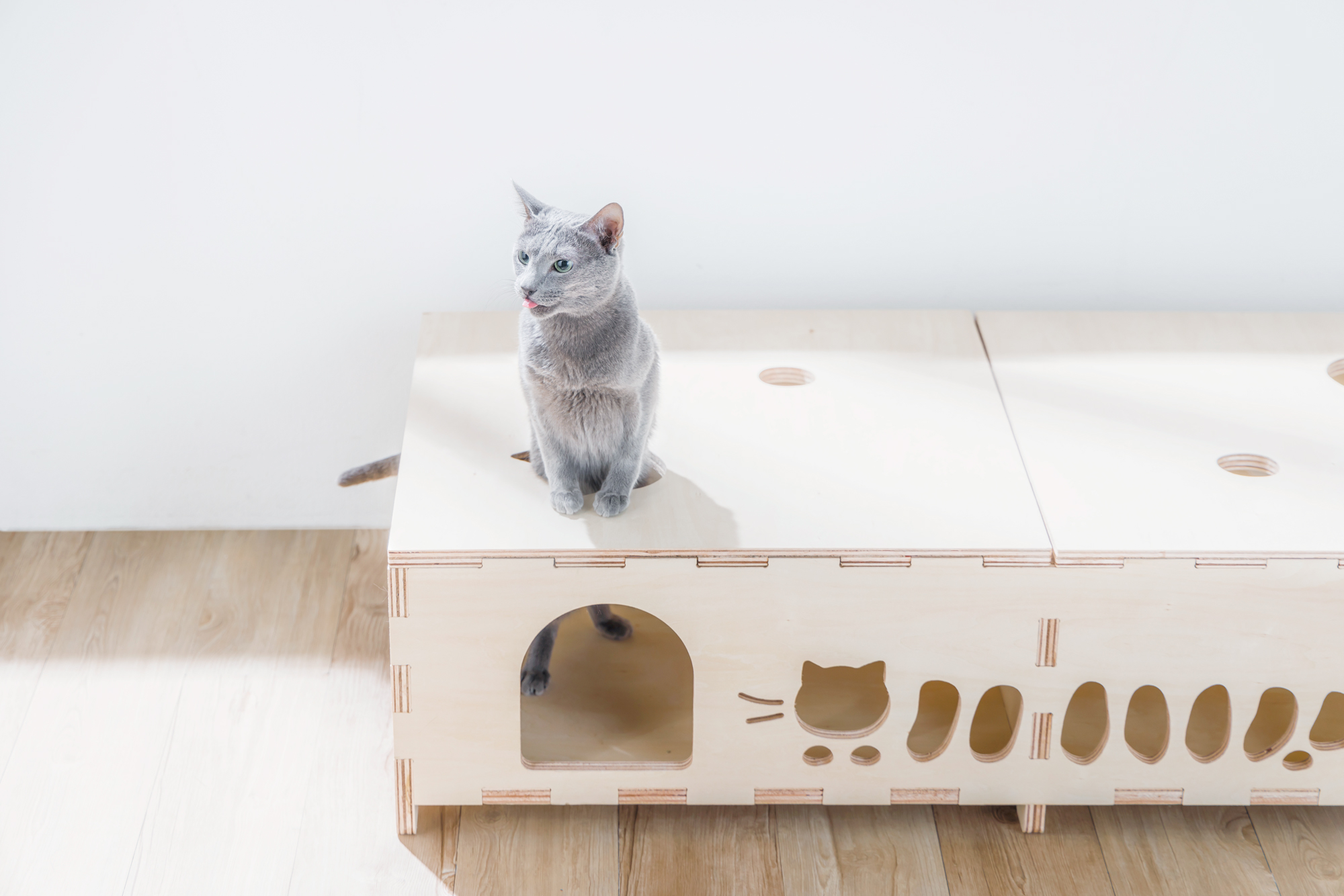 ねこのトンネルベンチ M（シナ） | CAINZ DIY MARKET | オーダー家具