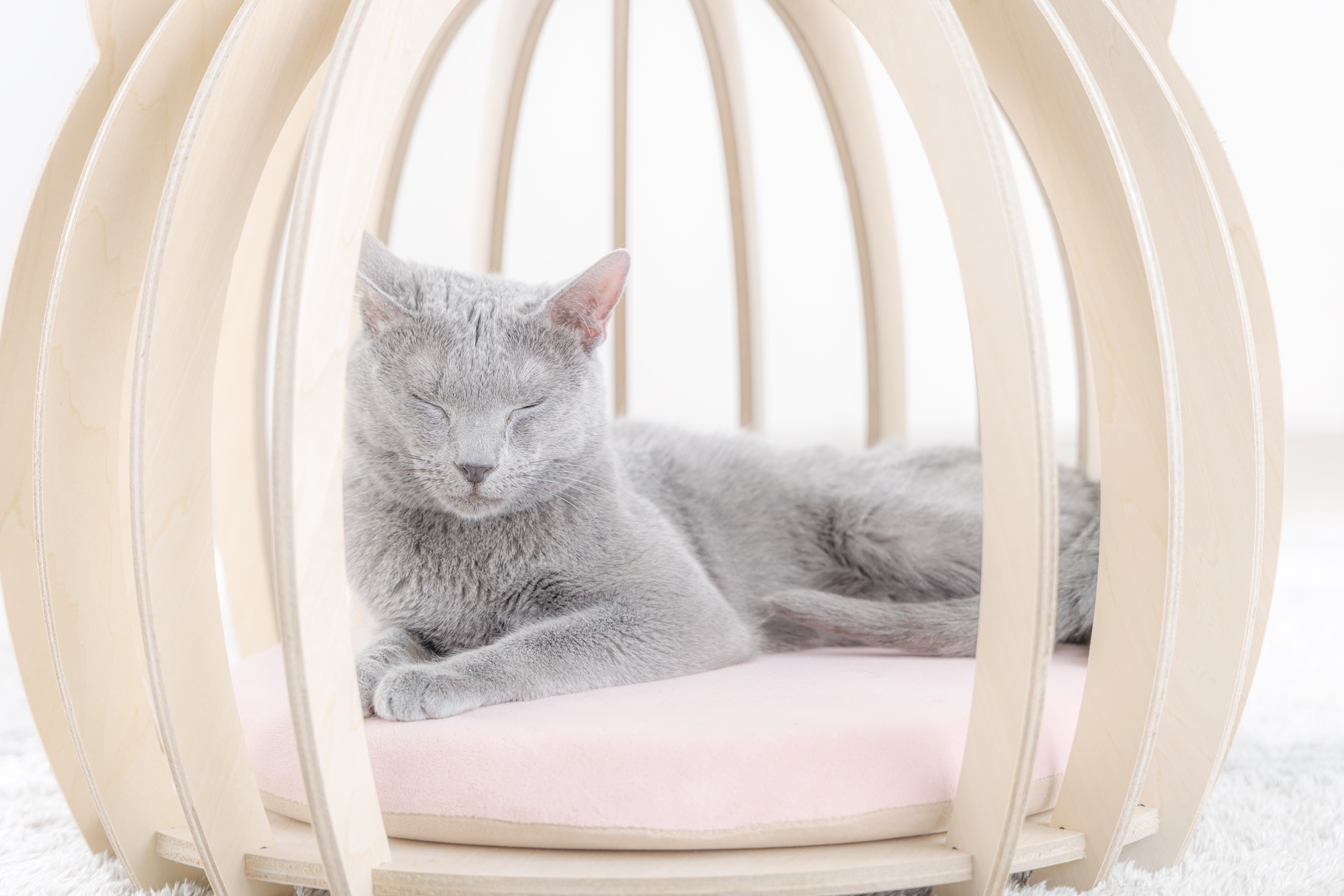 どこかの猫好き専用 ねこのねどこ | CAINZ DIY MARKET | オーダー家具プラットフォーム
