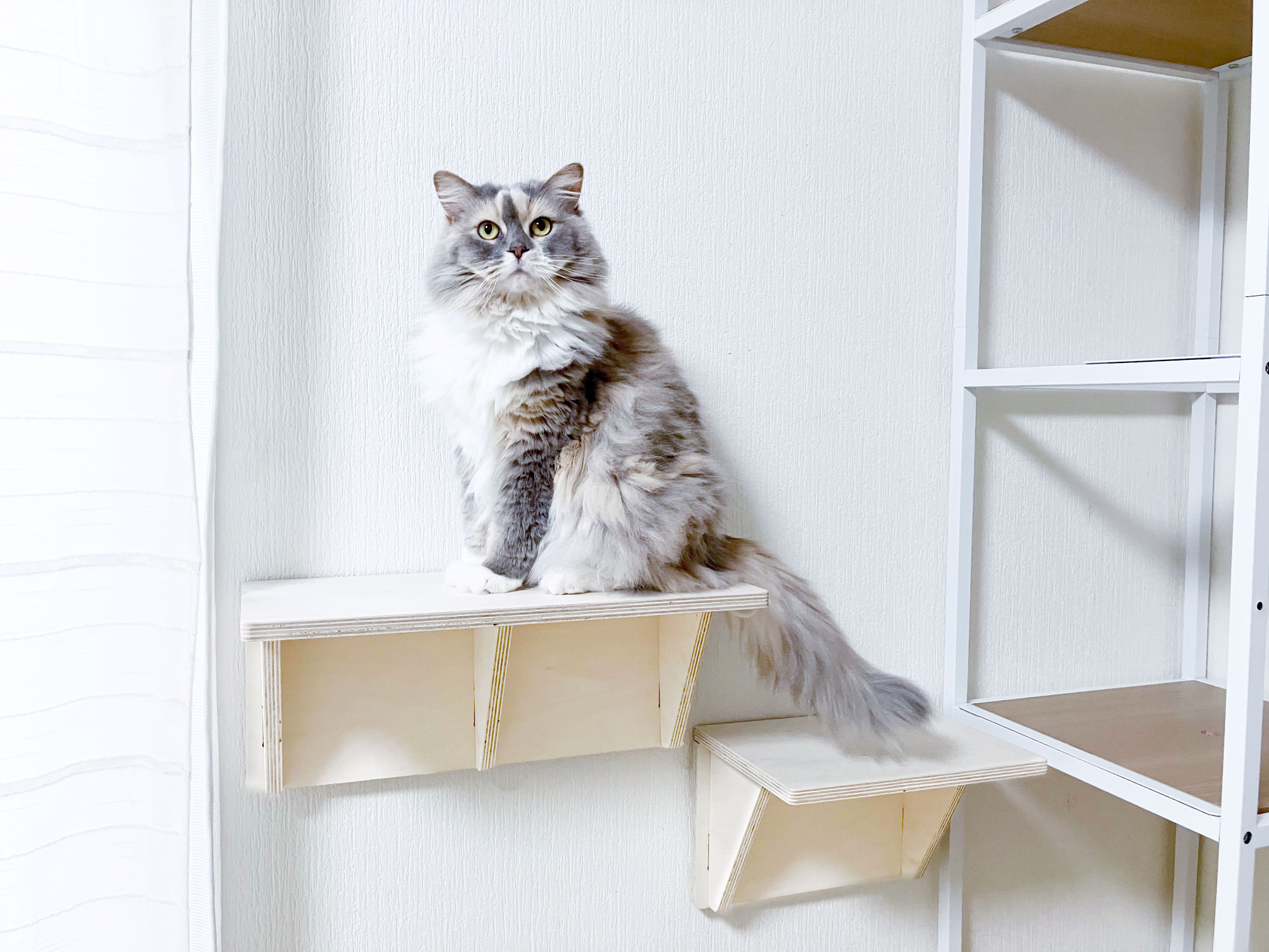 ピンで取り付ける壁付キャットステップ 30cm | CAINZ DIY MARKET