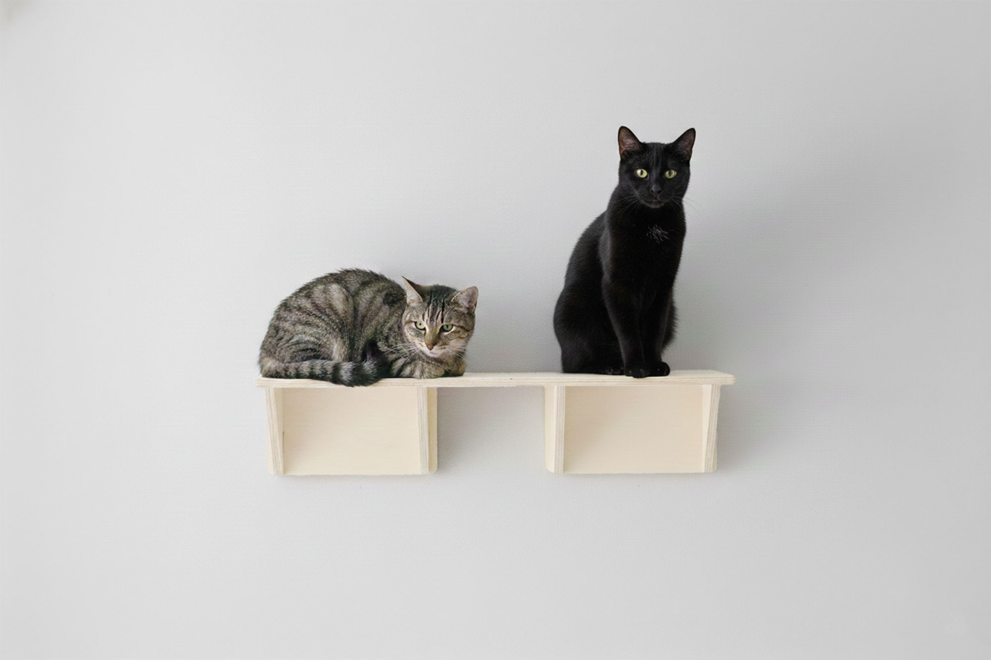 ピンで取り付ける壁付キャットステップ 80cm | CAINZ DIY MARKET