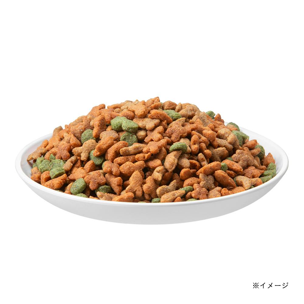 犬用ドライフード