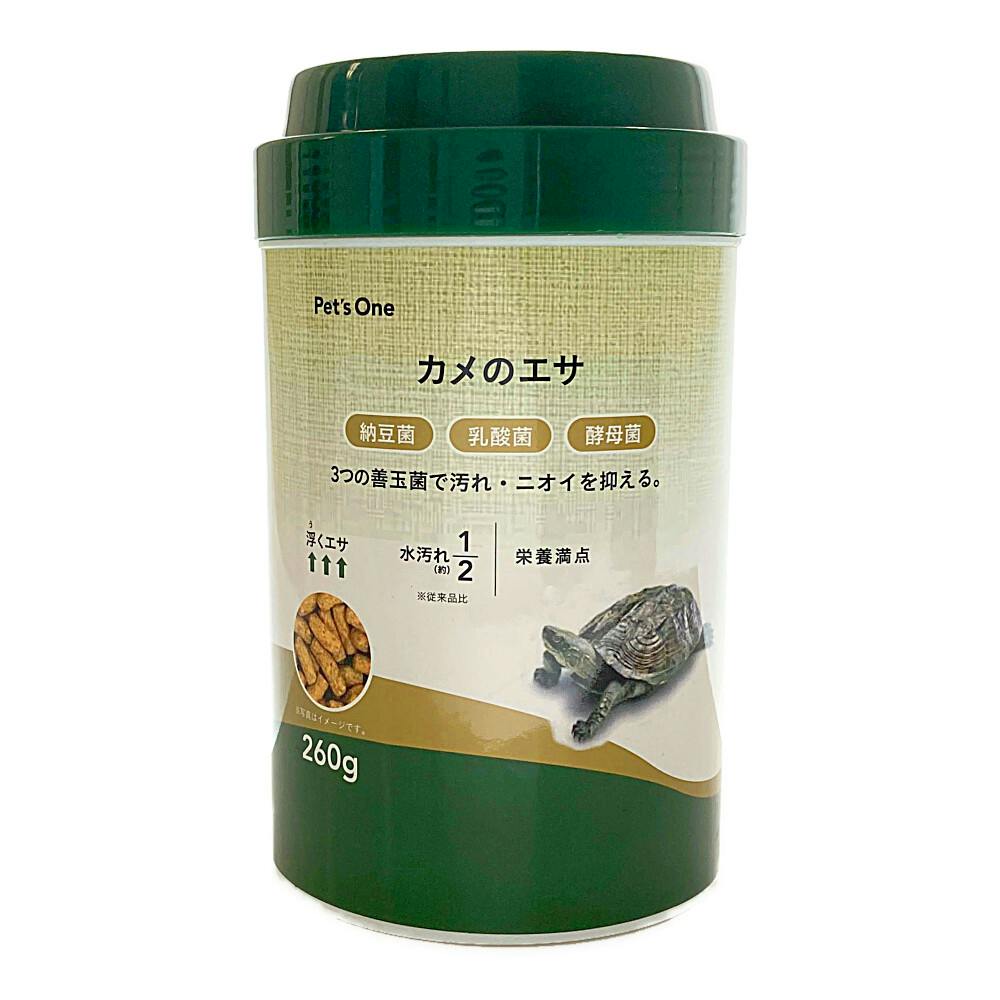 亀・爬虫類用品