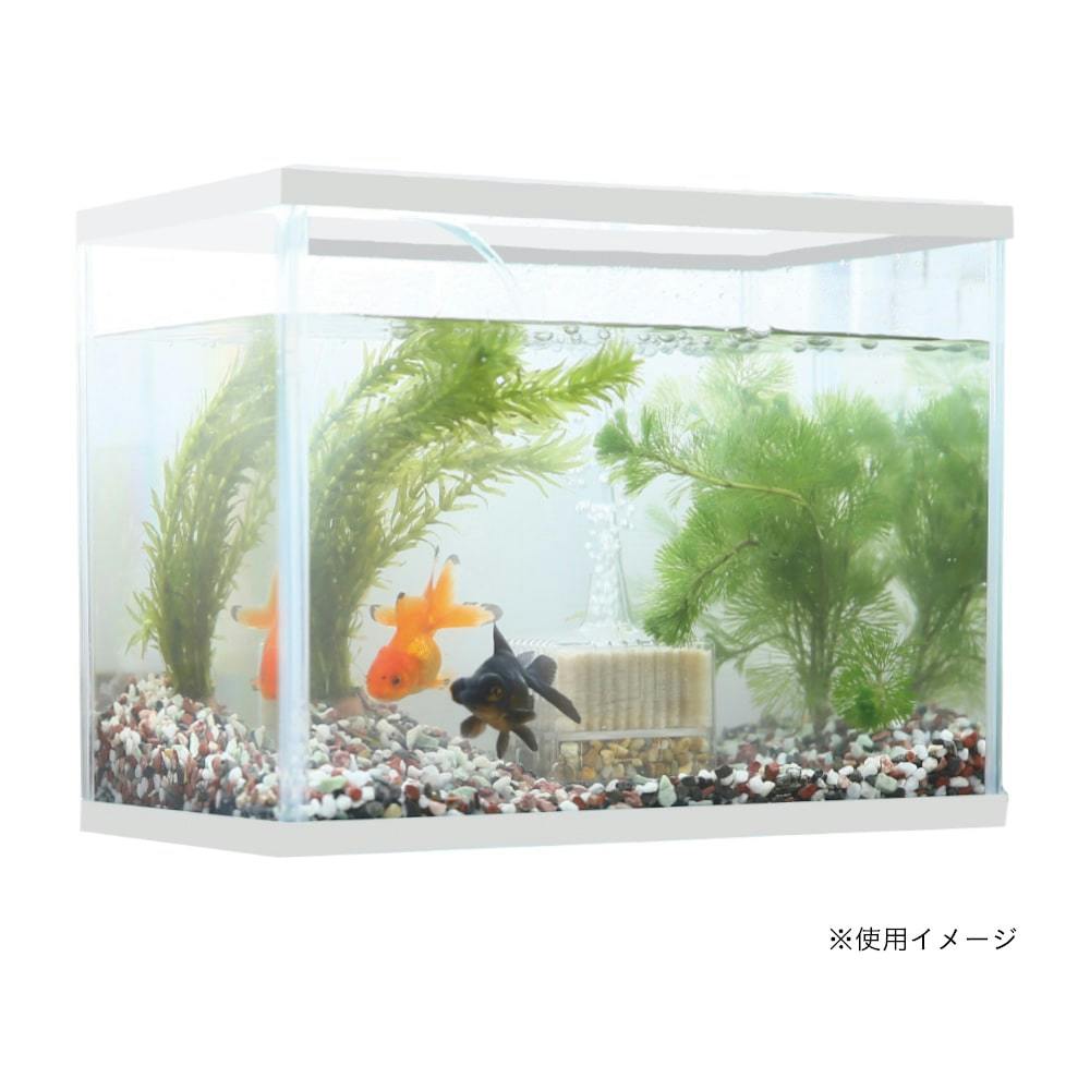 水槽・アクアリウム