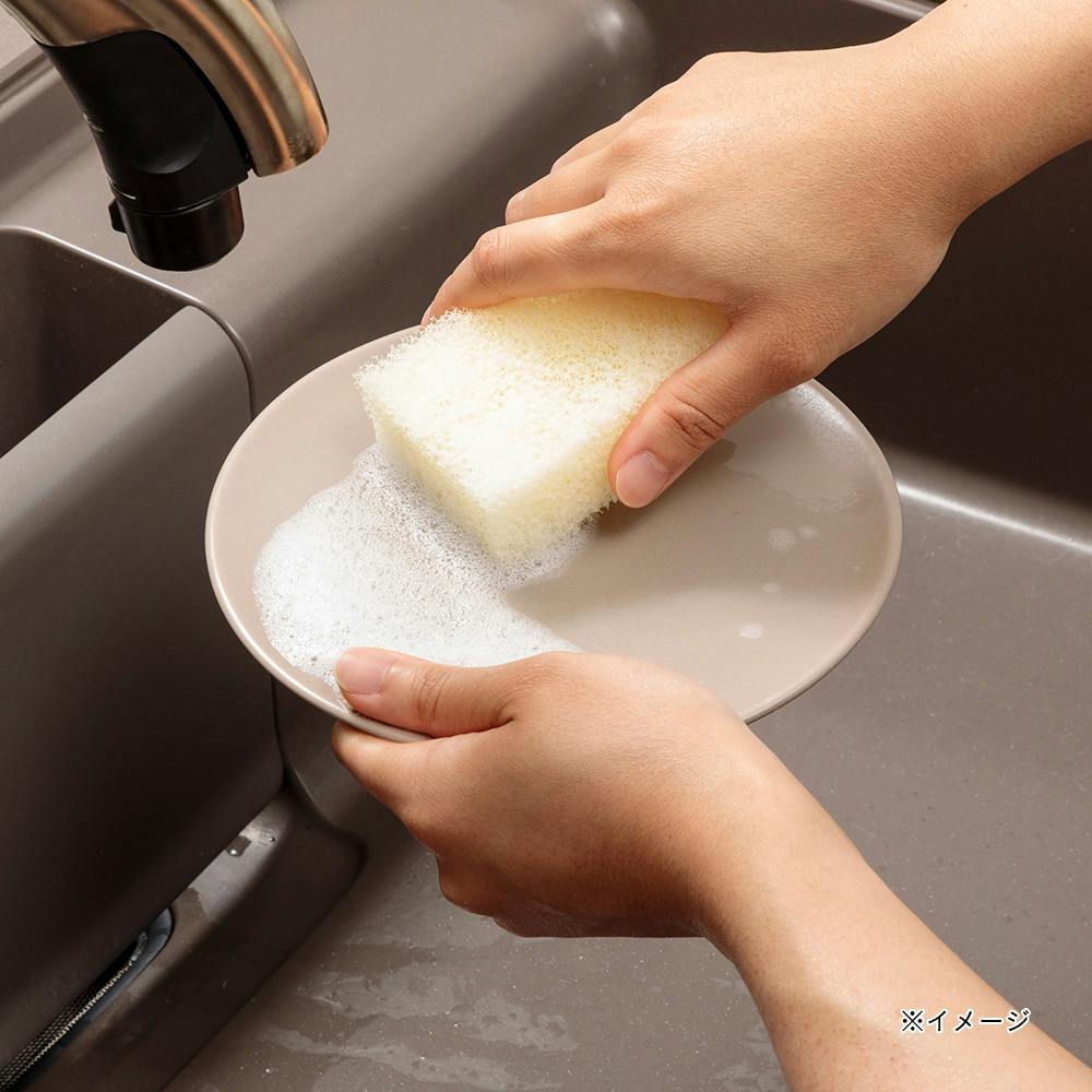 食器洗い（スポンジ・たわし）