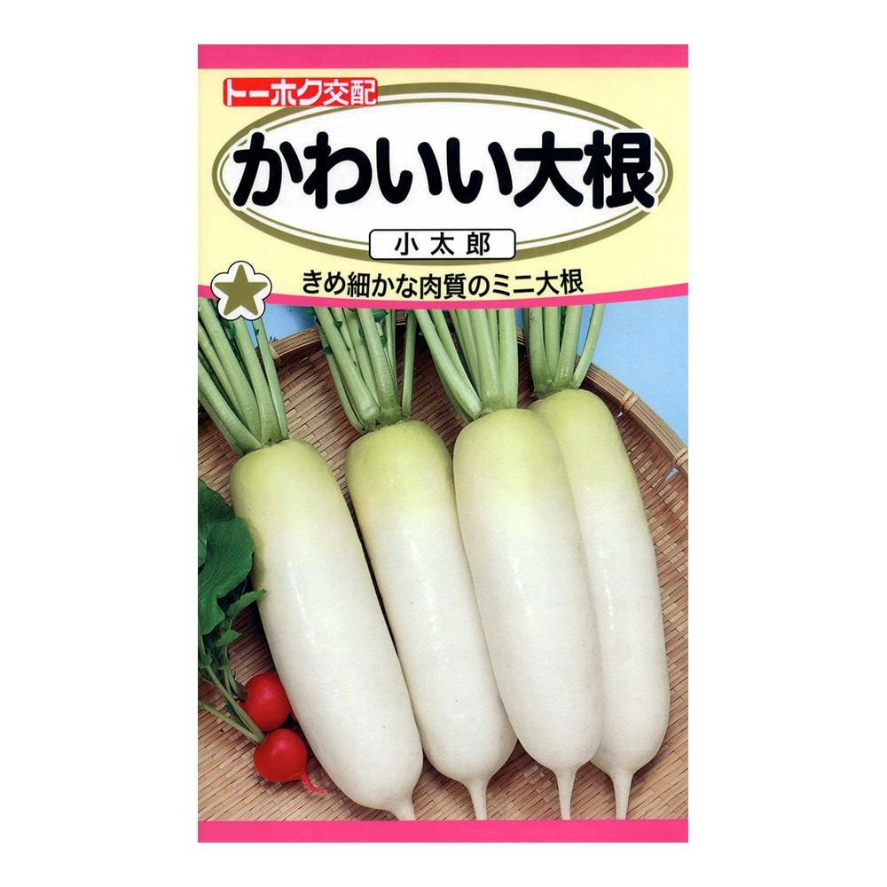 野菜の種