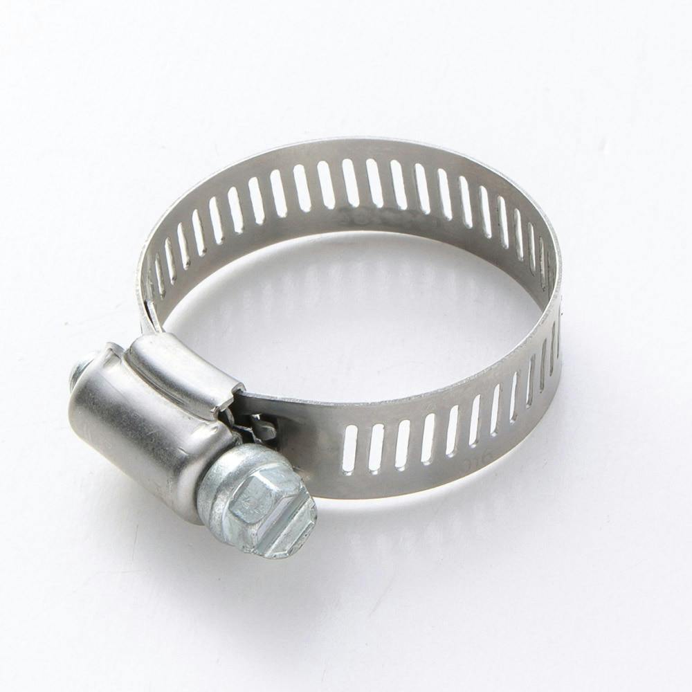 バンド・ホースバンド