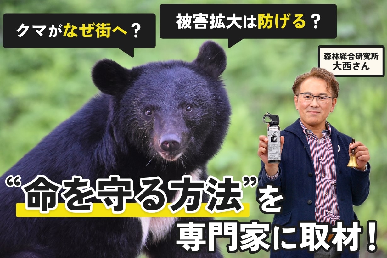 クマ対策用品特集｜ホームセンターのカインズ公式通販サイト