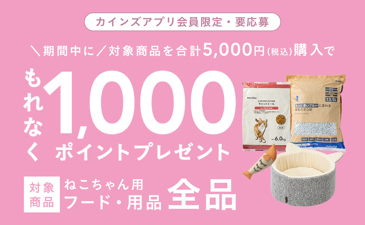 終了しました】カインズ にゃん祭り2026 | 猫の日｜ホームセンターの