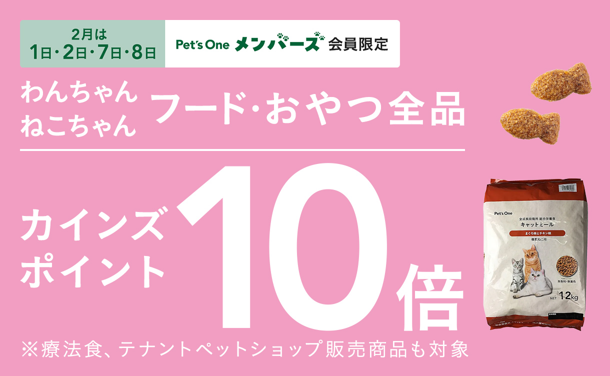 終了しました】カインズ にゃん祭り2026 | 猫の日｜ホームセンターの