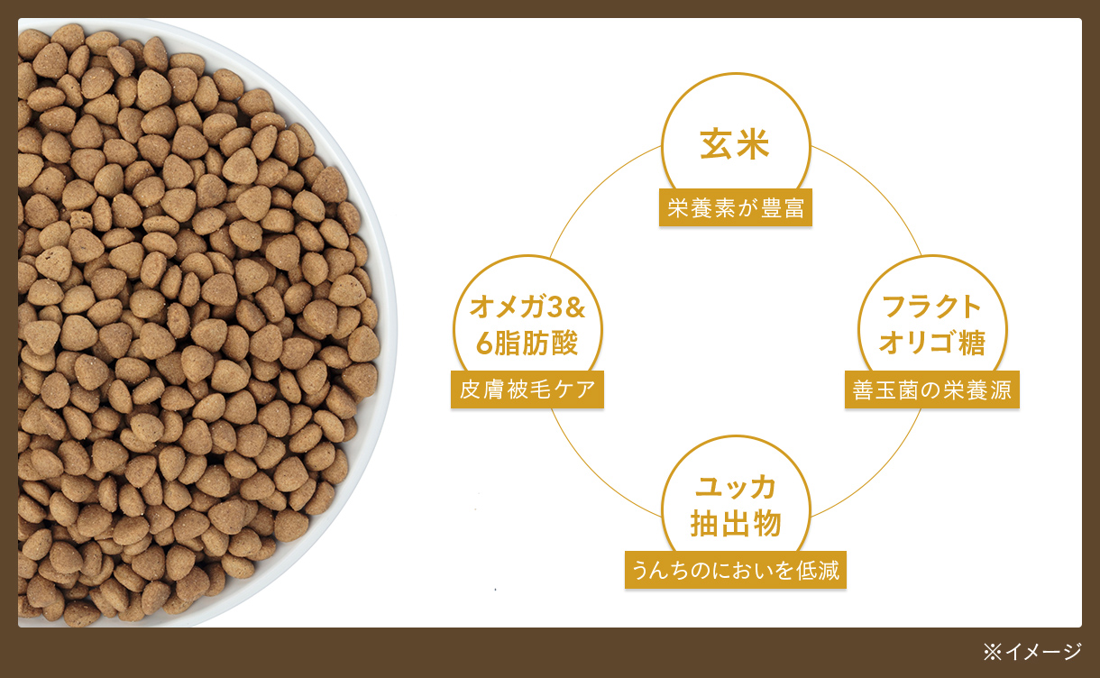 カインズ スマイリア かつおと玄米のぜいたく素材ごはん 200g 成猫用