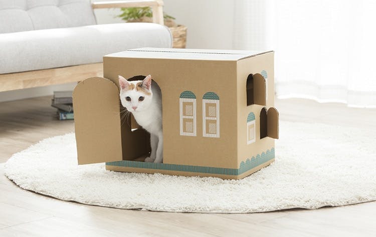 キャットハウス完成イメージ