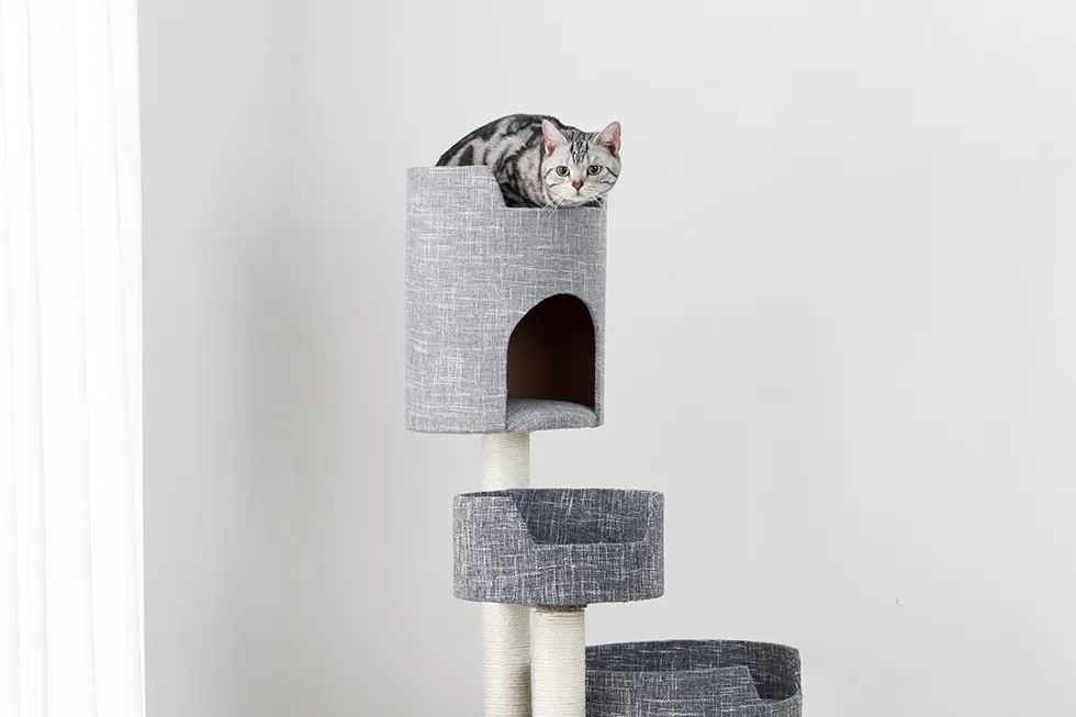 猫ちゃん喜ぶ！カインズおすすめのキャットインテリアタワー 