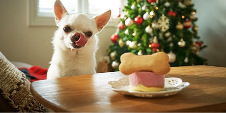 ペット用ケーキ
