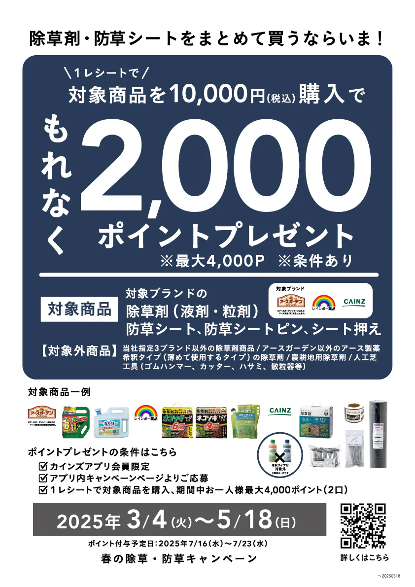 ピン様ご購入予定⭐︎ （会場販売のお知らせ】「Da-iCE DAY 2025  
