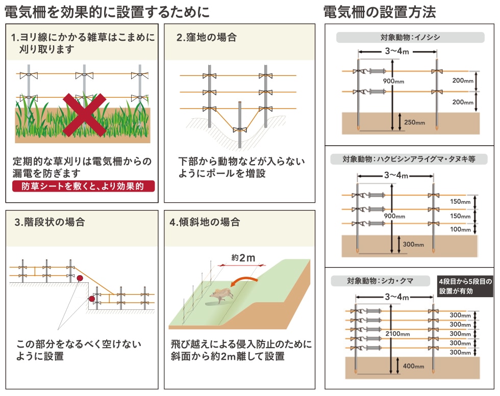 鳥獣の被害から守る 駆除・防獣対策アイテム｜ホームセンターの