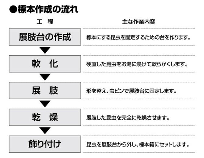 標本作成の流れ