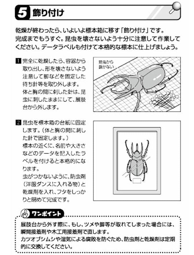 5.飾り付け