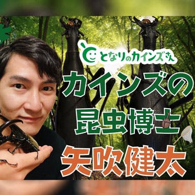 「夢は日本中のマイマイカブリを集めること」“カインズの昆虫博士” 矢吹健太が語る昆虫標本の作り方