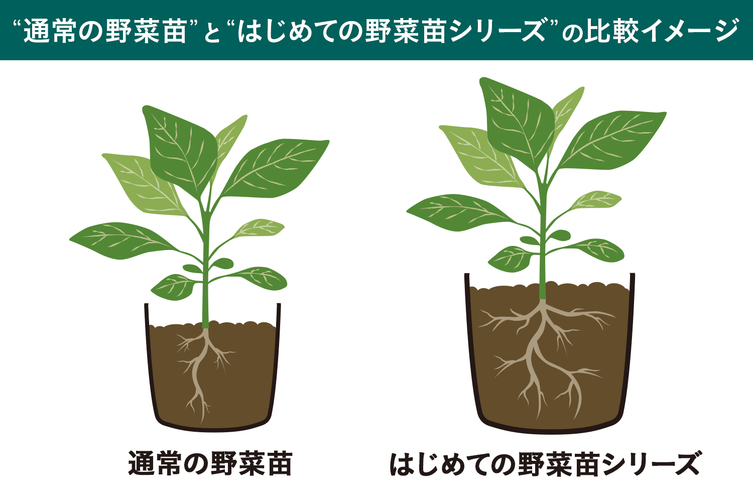 春の家庭菜園｜ホームセンター通販【カインズ】