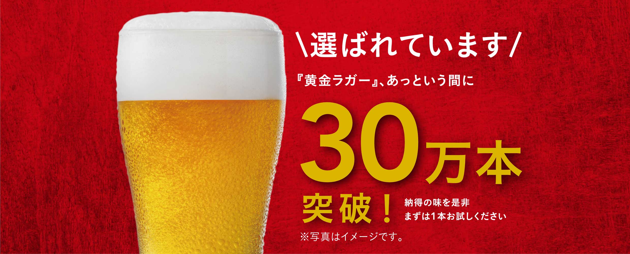 黄金ラガービール 330ml | 酒・リカー 通販 | ホームセンターのカインズ