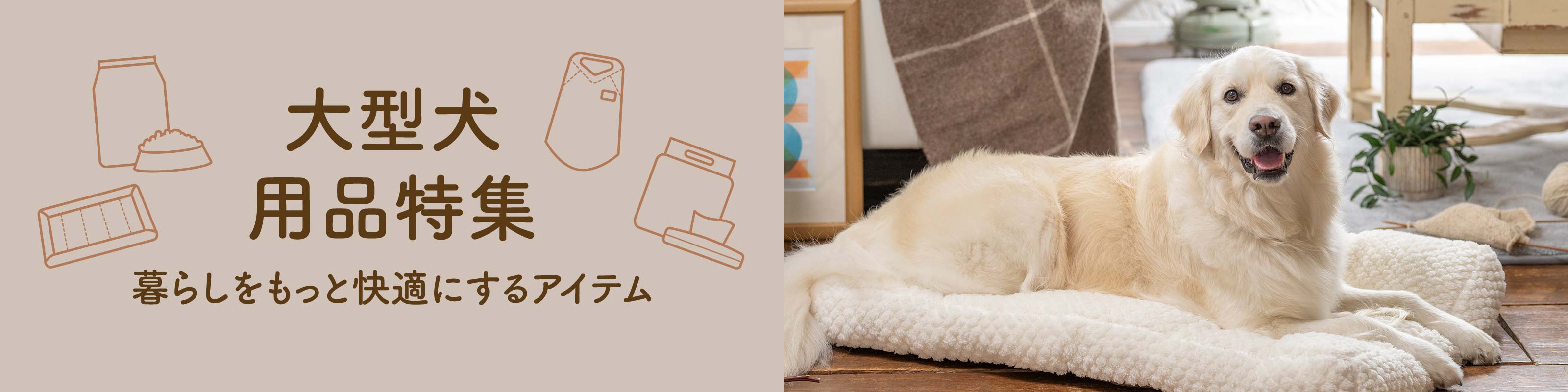 リビングの大型犬の置物 素早い