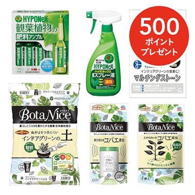 季節の園芸わくわくセット