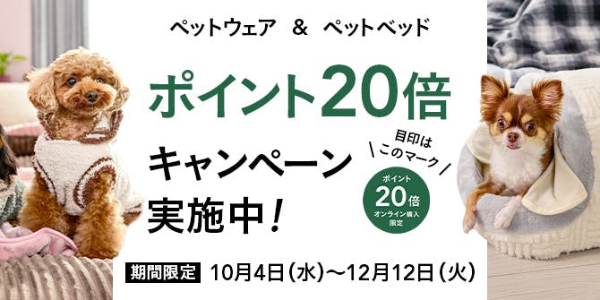 犬用品送料無料キャンペーン