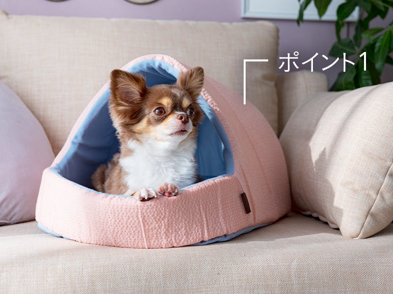 犬用ドームベッド