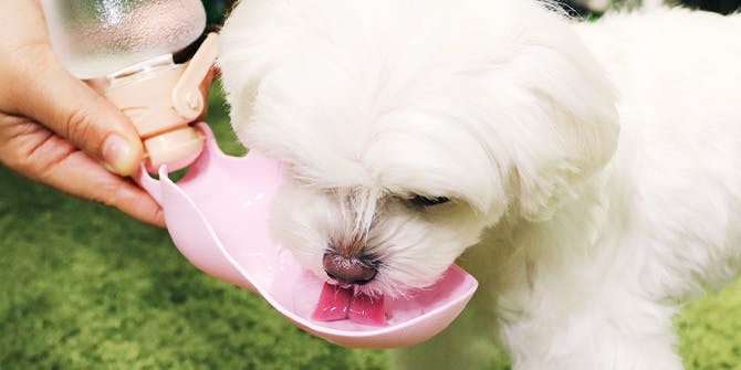 水・食器