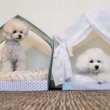 室内用の犬小屋をプラダンで作ってみた。DIY初心者におすすめの安価でおしゃれなハウス