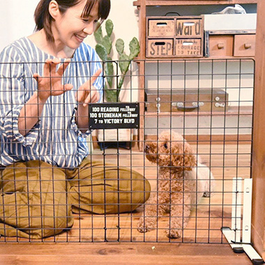 カインズおすすめのペットサークル・ケージ｜ホームセンターのカインズ